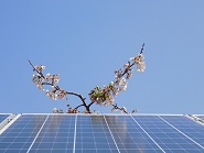 Εικόνα Net Metering Μαρκόπουλο Ωρωπού 3